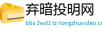 弃暗投明网